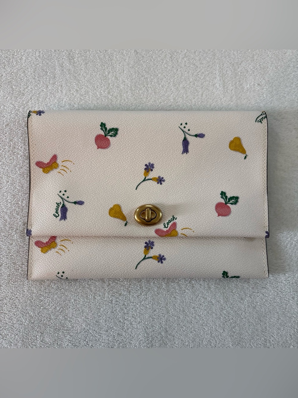 Coach Floral Fruity Garden Print 9.25" x 6.5" Envelope Turnlock Pouch